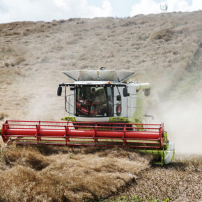 Combine harvester machine